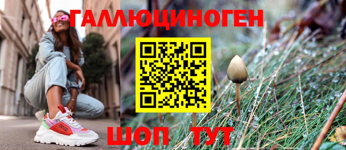 Галлюциногенные грибы мухоморы Дербент