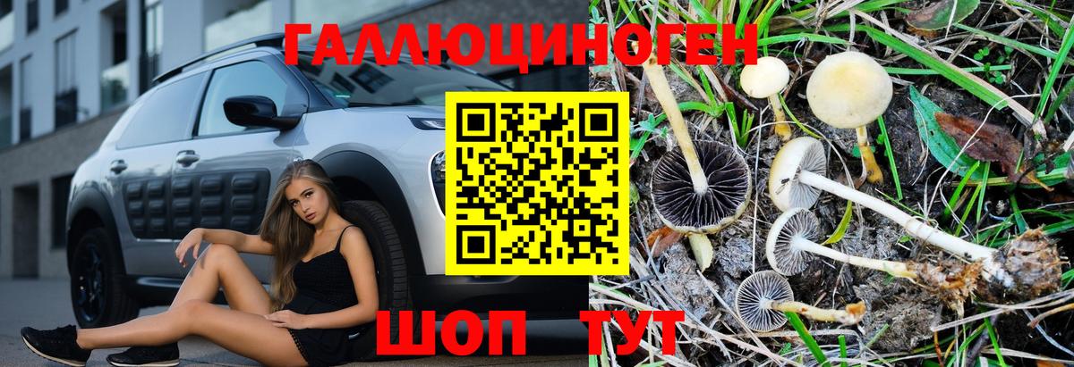 Галлюциногенные грибы прущие грибы Дербент