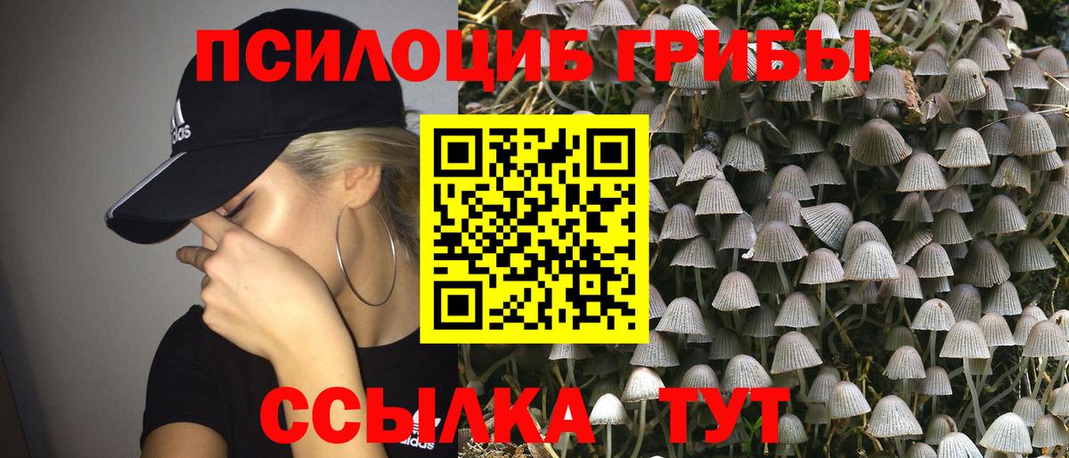 Дербент  Галлюциногенные грибы MAGIC MUSHROOMS  Псилоцибиновые грибы Magic Shrooms  Вход с VPN 