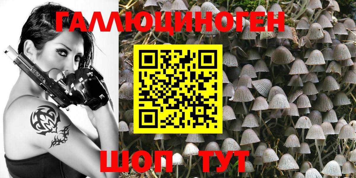 Галлюциногенные грибы мицелий  Дербент  Псилоцибиновые грибы прущие грибы 