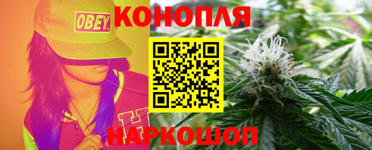 Каннабис планчик  Конопля OG Kush  Вход с VPN  МАРИХУАНА индика  Канабис тримм  Дербент 